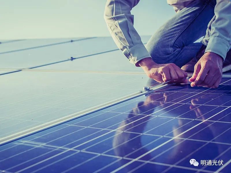 光合科普2 光合科普2